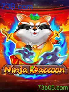 NinjaRaccoon